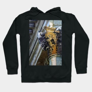 Peregrine Falcon on Saint Stephen's Cathedral (Budapest) Hoodie